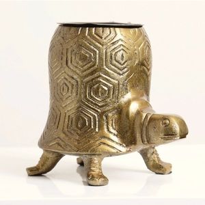 Turtle Planter